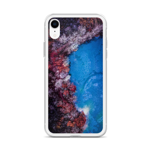 Fall Leaves Winter Ice - iPhone Case