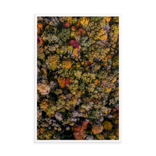 Load image into Gallery viewer, Michigan Fall Colors - Framed