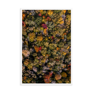 Michigan Fall Colors - Framed