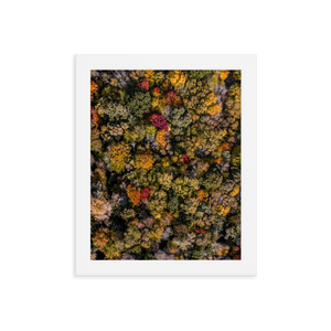 Michigan Fall Colors - Framed