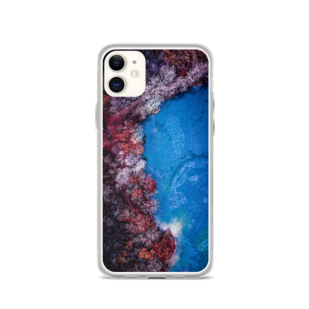 Fall Leaves Winter Ice - iPhone Case