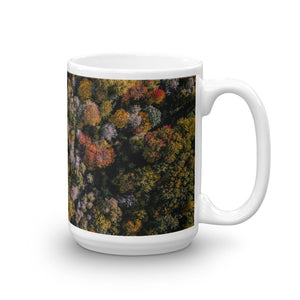 Michigan Fall Colors - Mug