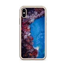 Load image into Gallery viewer, Fall Leaves Winter Ice - iPhone Case