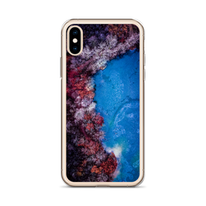 Fall Leaves Winter Ice - iPhone Case