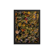 Load image into Gallery viewer, Michigan Fall Colors - Framed
