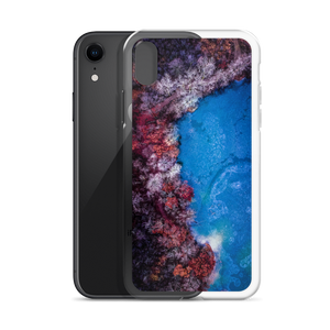 Fall Leaves Winter Ice - iPhone Case