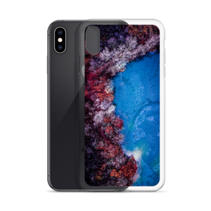 Fall Leaves Winter Ice - iPhone Case