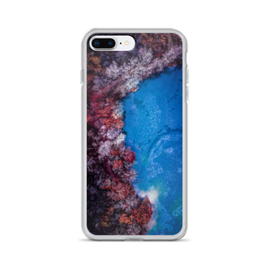 Fall Leaves Winter Ice - iPhone Case