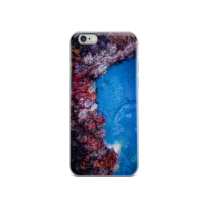 Fall Leaves Winter Ice - iPhone Case