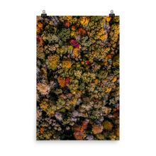 Load image into Gallery viewer, Michigan Fall Colors - Print