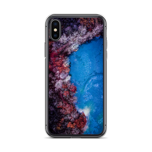 Fall Leaves Winter Ice - iPhone Case