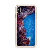 Load image into Gallery viewer, Fall Leaves Winter Ice - iPhone Case