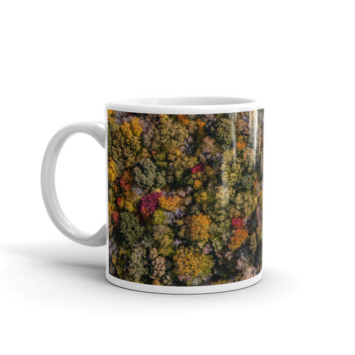 Michigan Fall Colors - Mug