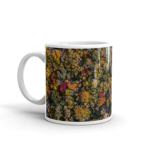 Michigan Fall Colors - Mug
