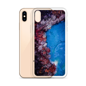 Fall Leaves Winter Ice - iPhone Case