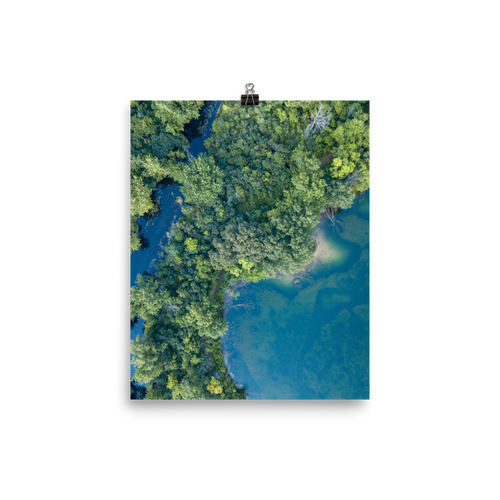Michigan Summer Treetops - Print
