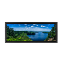 Load image into Gallery viewer, Huron National Forest - Framed Canvas