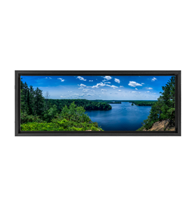 Huron National Forest - Framed Canvas