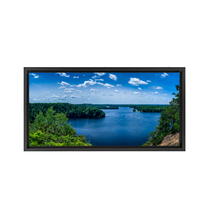 Load image into Gallery viewer, Huron National Forest - Framed Canvas